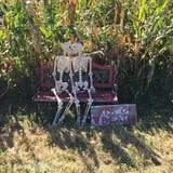 Sass Family Farm photo