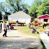 Sass Family Farm photo