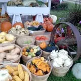 Sass Family Farm photo
