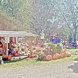 Sass Family Farm photo