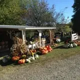 Sass Family Farm photo