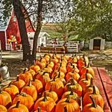 Sass Family Farm photo