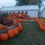 Sass Family Farm photo