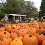 Sass Family Farm photo