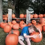 Wheatfield Pumpkin Farm photo