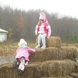 Wheatfield Pumpkin Farm photo