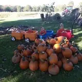 Wheatfield Pumpkin Farm photo