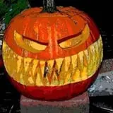 Wheatfield Pumpkin Farm photo