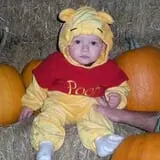 Wheatfield Pumpkin Farm photo