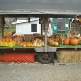 Wheatfield Pumpkin Farm photo