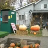 Wheatfield Pumpkin Farm photo