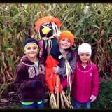 Wheatfield Pumpkin Farm photo