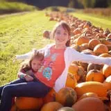 Wheatfield Pumpkin Farm photo