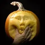 Wheatfield Pumpkin Farm photo