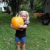 Wheatfield Pumpkin Farm photo