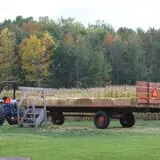 Wheatfield Pumpkin Farm photo
