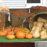 Wheatfield Pumpkin Farm photo