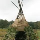Wheatfield Pumpkin Farm photo