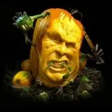 Wheatfield Pumpkin Farm photo