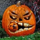 Wheatfield Pumpkin Farm photo