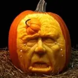 Wheatfield Pumpkin Farm photo
