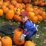 Wheatfield Pumpkin Farm photo