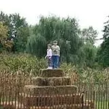 Wheatfield Pumpkin Farm photo