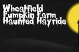 Wheatfield Pumpkin Farm