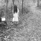 Haunted Woods of Hoover Ridge