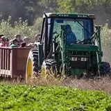 Parlee Farms Pumpkin Picking Hayride & Fun Activities photo