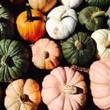 Parlee Farms Pumpkin Picking Hayride & Fun Activities photo
