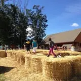 Parlee Farms Pumpkin Picking Hayride & Fun Activities photo