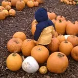 Parlee Farms Pumpkin Picking Hayride & Fun Activities photo