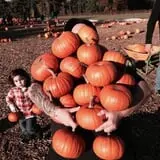 Parlee Farms Pumpkin Picking Hayride & Fun Activities photo