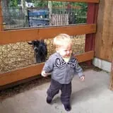 Parlee Farms Pumpkin Picking Hayride & Fun Activities photo