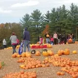Parlee Farms Pumpkin Picking Hayride & Fun Activities photo