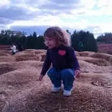 Parlee Farms Pumpkin Picking Hayride & Fun Activities photo