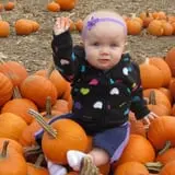 Parlee Farms Pumpkin Picking Hayride & Fun Activities photo