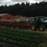 Parlee Farms Pumpkin Picking Hayride & Fun Activities photo