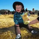 Parlee Farms Pumpkin Picking Hayride & Fun Activities photo