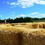 Parlee Farms Pumpkin Picking Hayride & Fun Activities photo