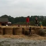 Parlee Farms Pumpkin Picking Hayride & Fun Activities photo