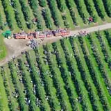 Parlee Farms Pumpkin Picking Hayride & Fun Activities photo