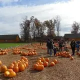 Parlee Farms Pumpkin Picking Hayride & Fun Activities photo