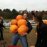 Parlee Farms Pumpkin Picking Hayride & Fun Activities photo