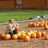 Parlee Farms Pumpkin Picking Hayride & Fun Activities photo