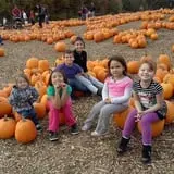 Parlee Farms Pumpkin Picking Hayride & Fun Activities photo