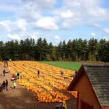 Parlee Farms Pumpkin Picking Hayride & Fun Activities photo