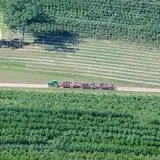 Parlee Farms Pumpkin Picking Hayride & Fun Activities photo