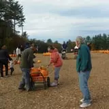 Parlee Farms Pumpkin Picking Hayride & Fun Activities photo